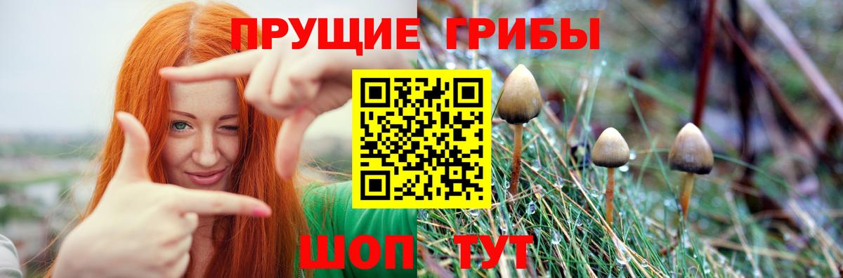 Псилоцибиновые грибы прущие грибы Саянск